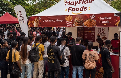 A Mayflair burger and fries